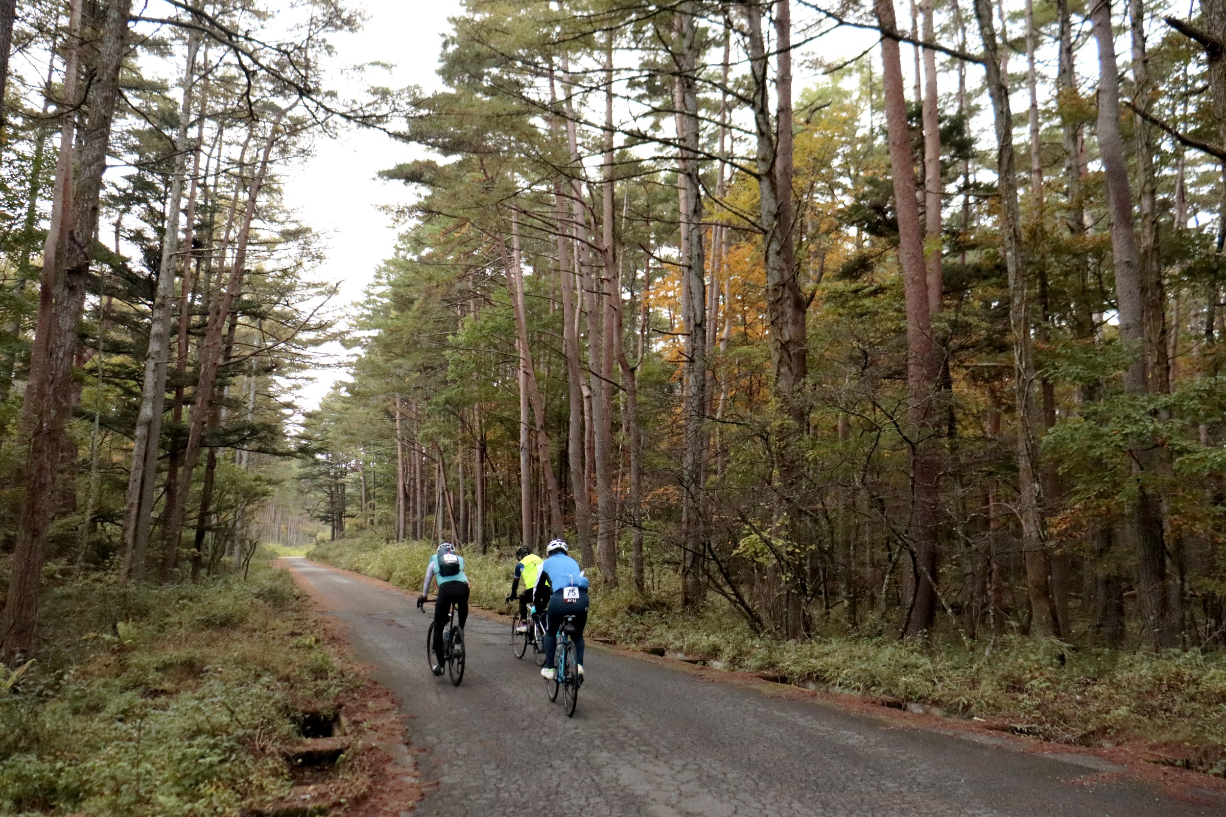 サポートライダーの先導